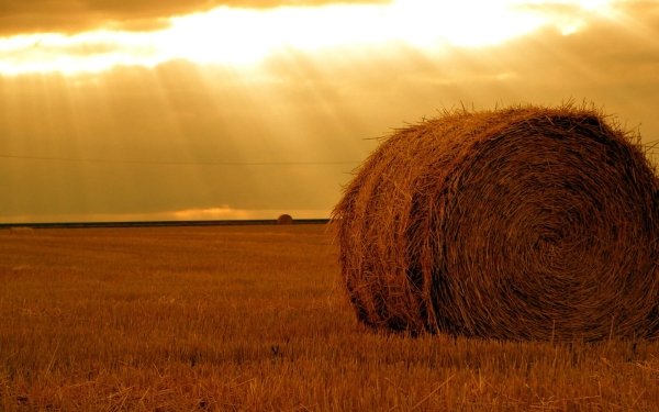 Earth Haystack Sunbeam HD Wallpaper | Background Image