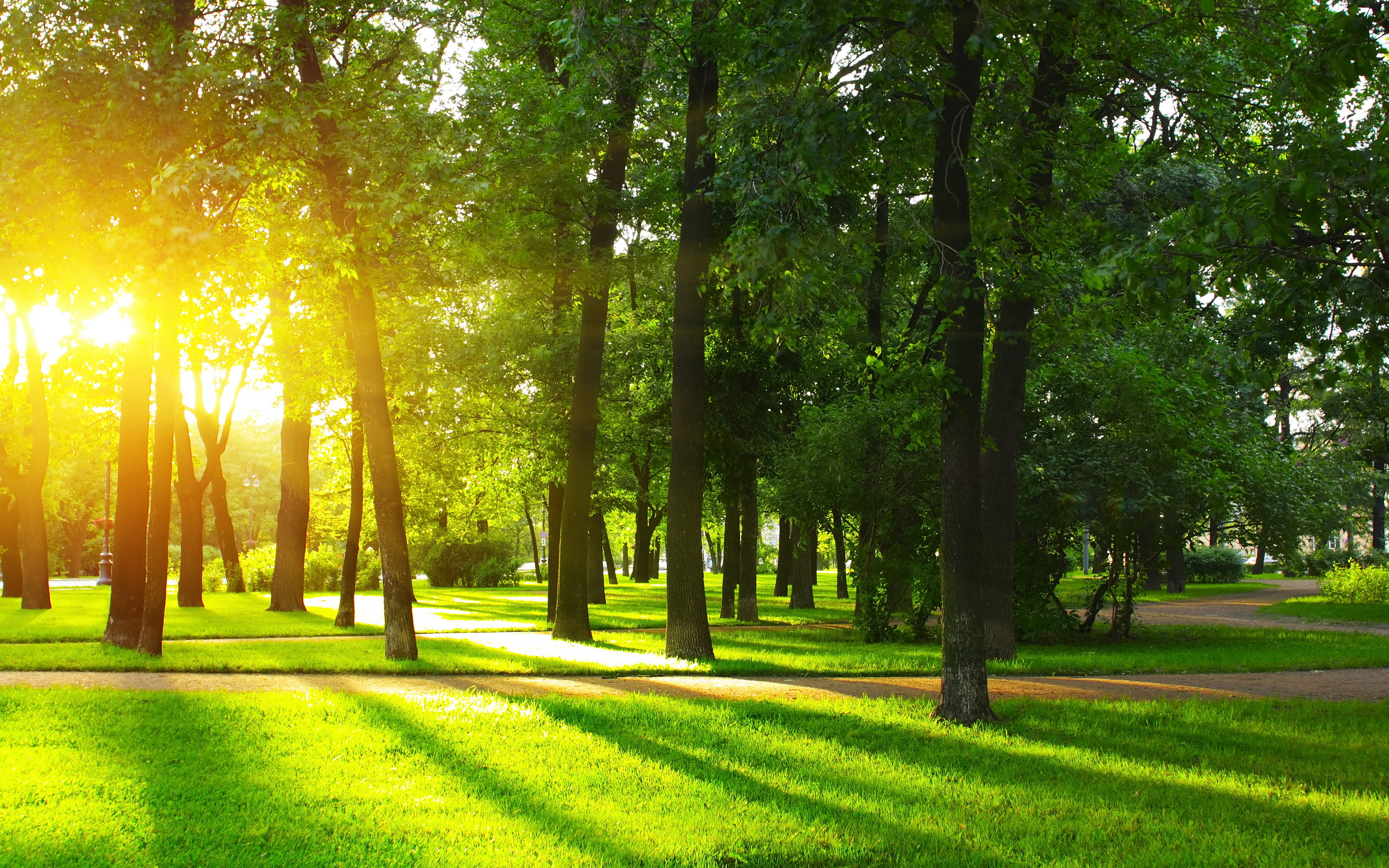 Park HD Wallpaper | Background Image | 2560x1600 | ID:545581