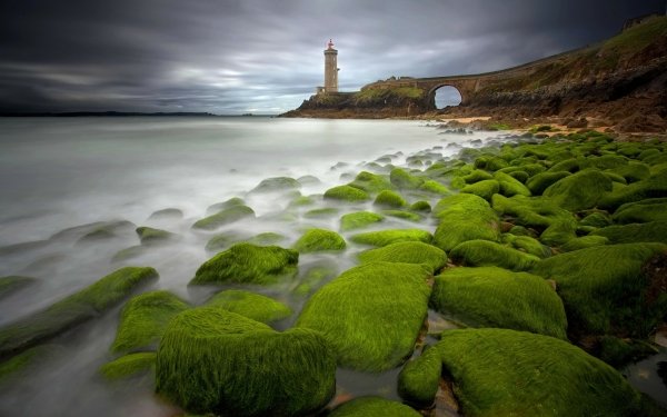 Man Made Lighthouse Buildings Stone Moss Cloud Seashore HD Wallpaper | Background Image