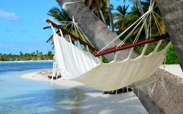 shadow beach tropics man made hammock HD Desktop Wallpaper | Background Image