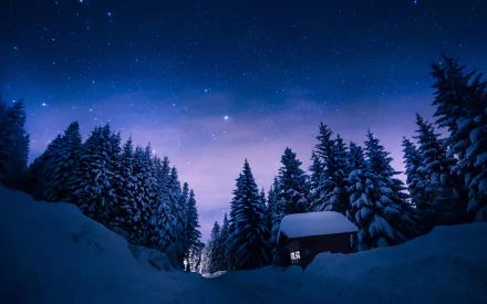 night snow artistic winter winter night HD Desktop Wallpaper | Background Image