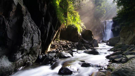 Nature creek HD PC desktop wallpaper background: sunlit forest creek rushing over rocks toward a small waterfall between mossy, shadowed cliffs.