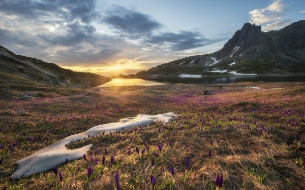 Earth Sunrise Mountain Spring Field HD Wallpaper | Background Image