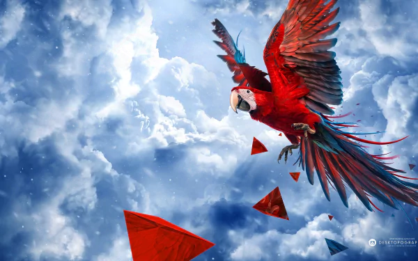 A vibrant red-and-green macaw soars through a blue sky dotted with clouds and geometric shapes, creating an eye-catching HD desktop wallpaper.