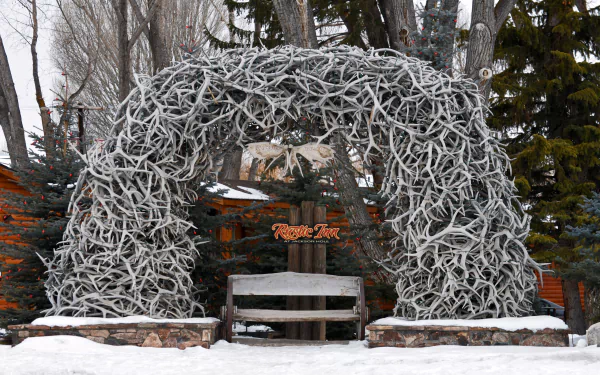 man made Antler Arch HD Desktop Wallpaper | Background Image