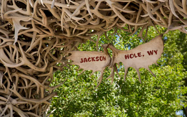 man made Antler Arch HD Desktop Wallpaper | Background Image