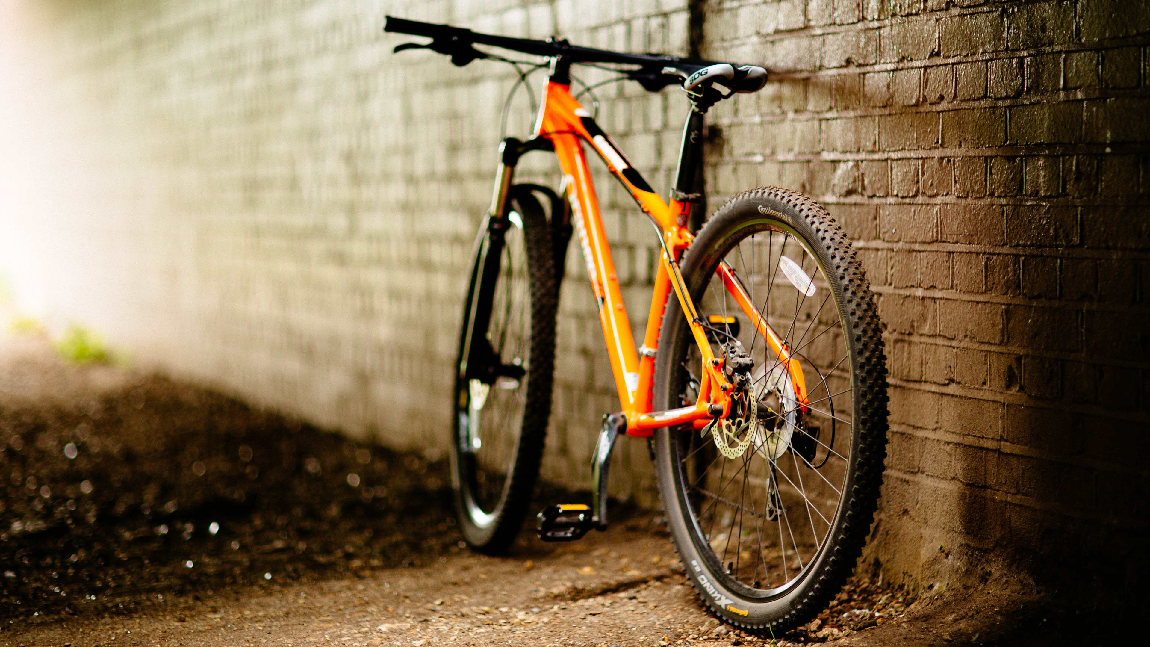 320 Bicycle Wallpapers