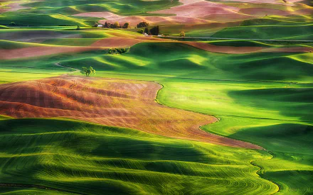 Aerial photography of sunlit rolling green and gold hills in Tuscany, Italy — vivid patterns and undulating fields rendered as a 2K Quad HD PC desktop wallpaper background.