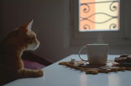 A serene scene featuring a curious cat gazing at a steaming cup of tea with sugar beside it, on a table near a window, creating a cozy atmosphere.