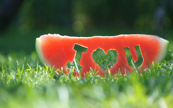 An artistic HD desktop wallpaper with a watermelon slice placed on grass, carved with the words I ♥ U, symbolizing love.