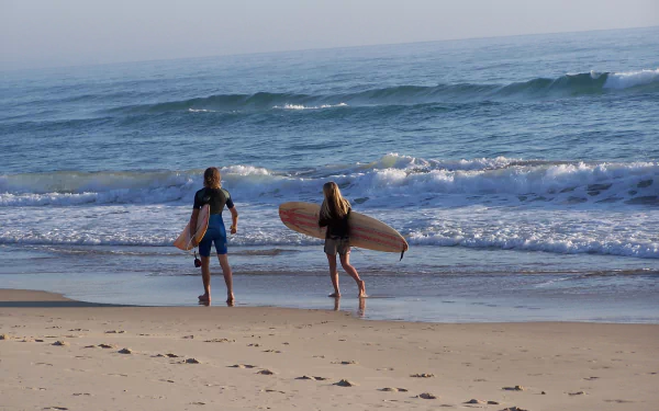  Surfers Checking Out The Waves