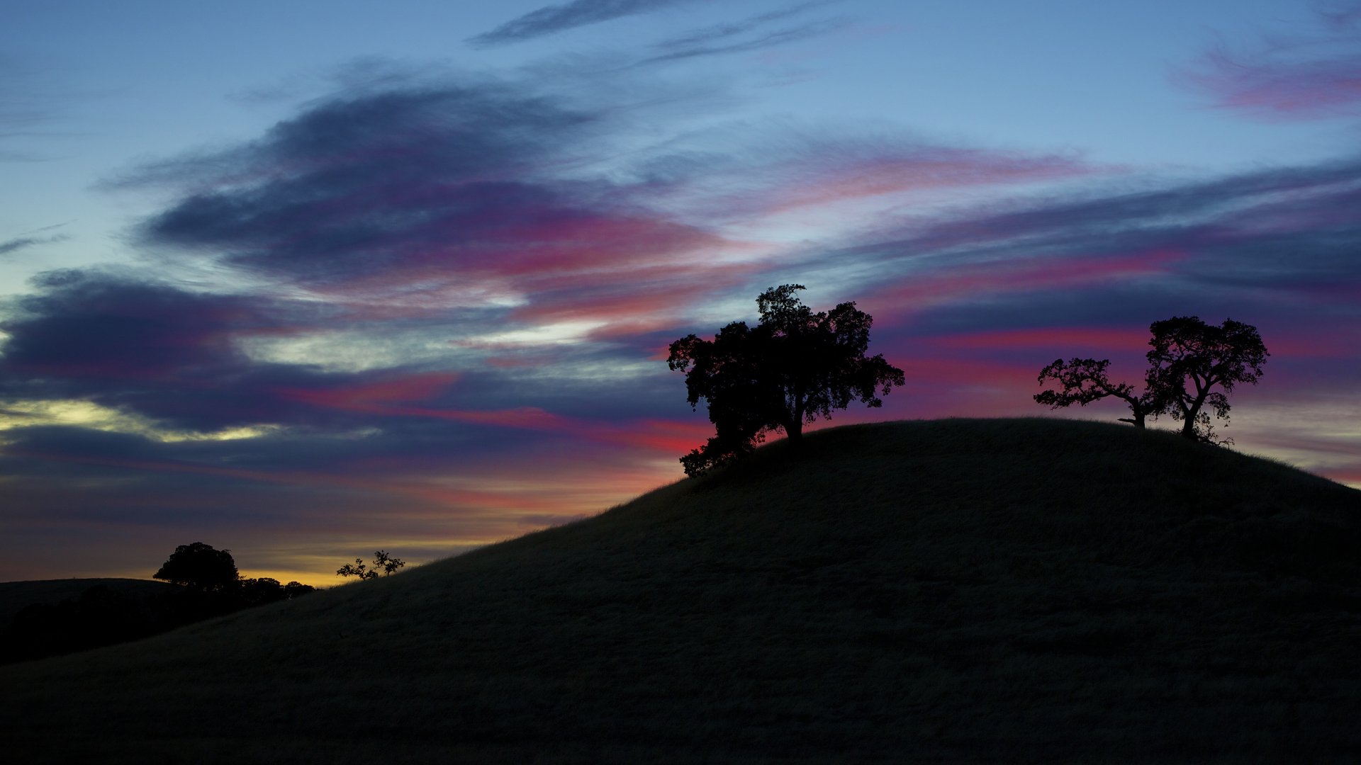 Silhouetted trees on a rolling hill beneath a vivid purple-orange sunset sky; nature scene, 4K Ultra HD PC desktop wallpaper and background.