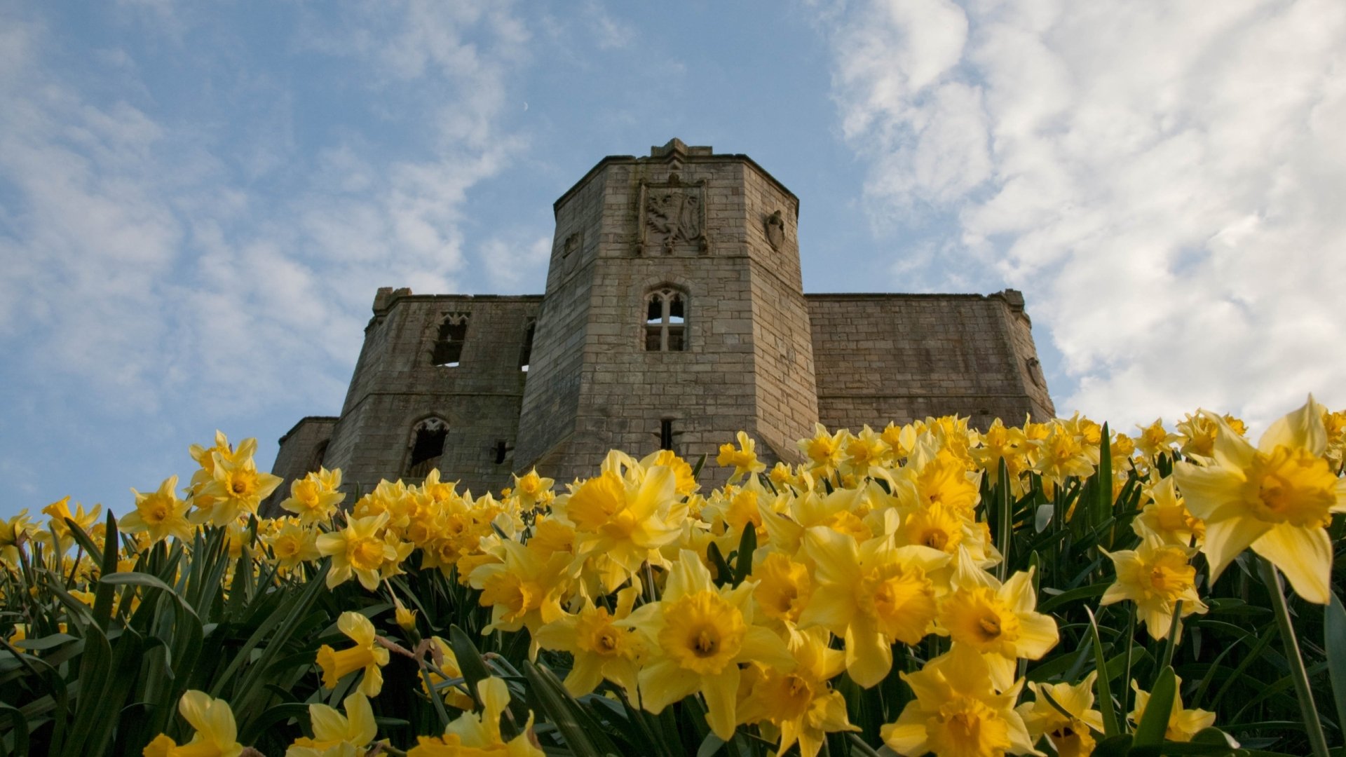 Download Man Made Warkworth Castle HD Wallpaper