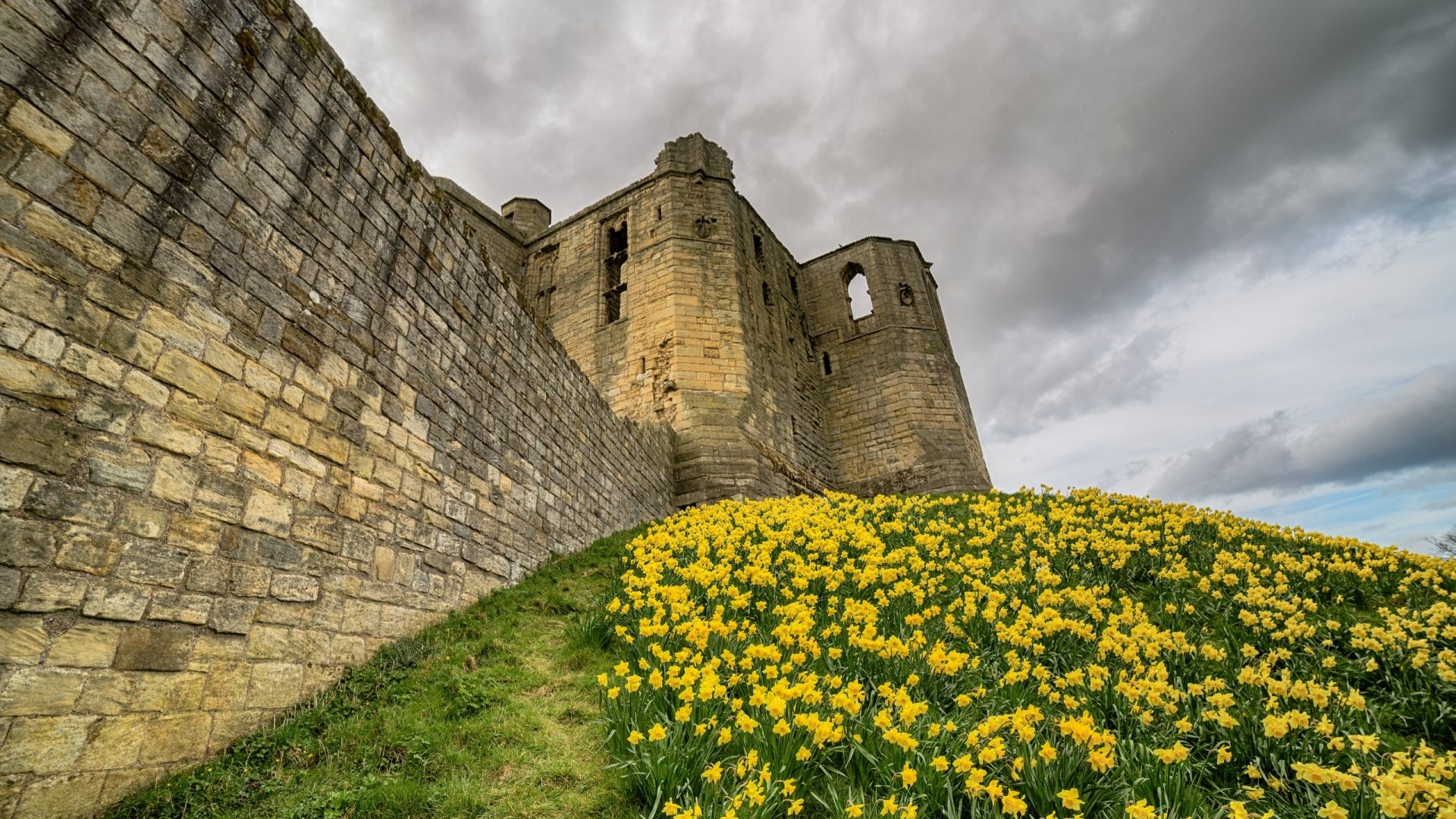 Download Man Made Warkworth Castle HD Wallpaper