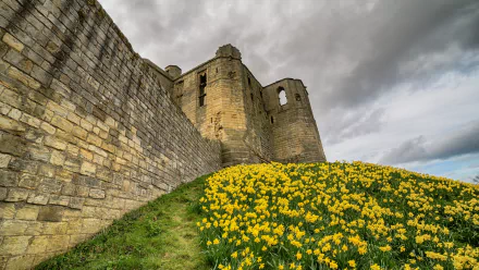 man made warkworth castle HD Desktop Wallpaper | Background Image