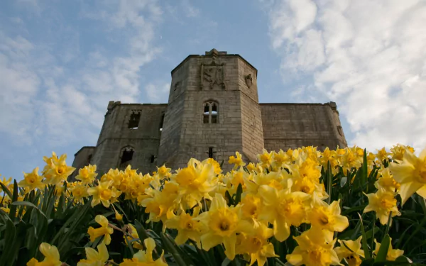 man made warkworth castle HD Desktop Wallpaper | Background Image