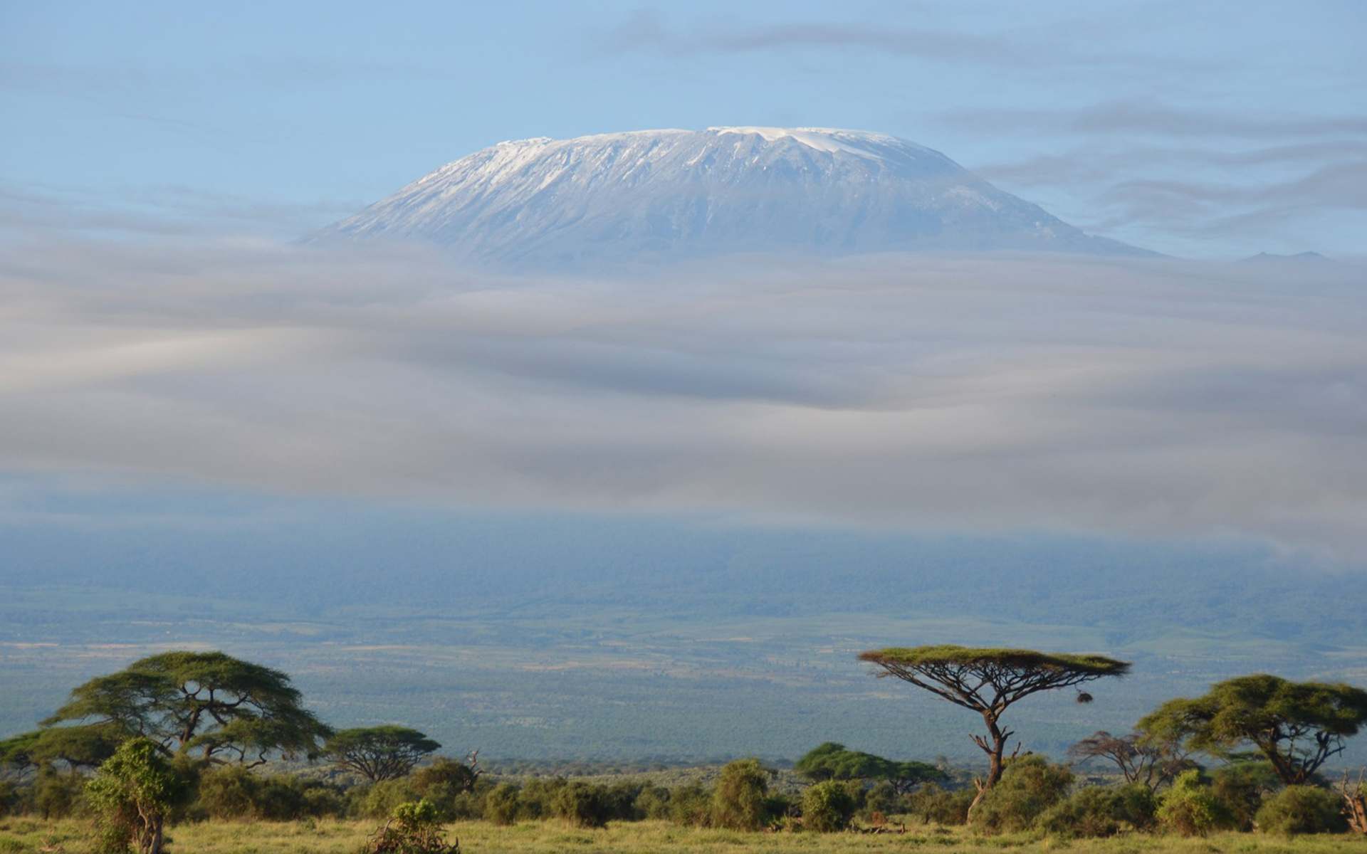 Earth Mount Kilimanjaro HD Wallpaper | Background Image