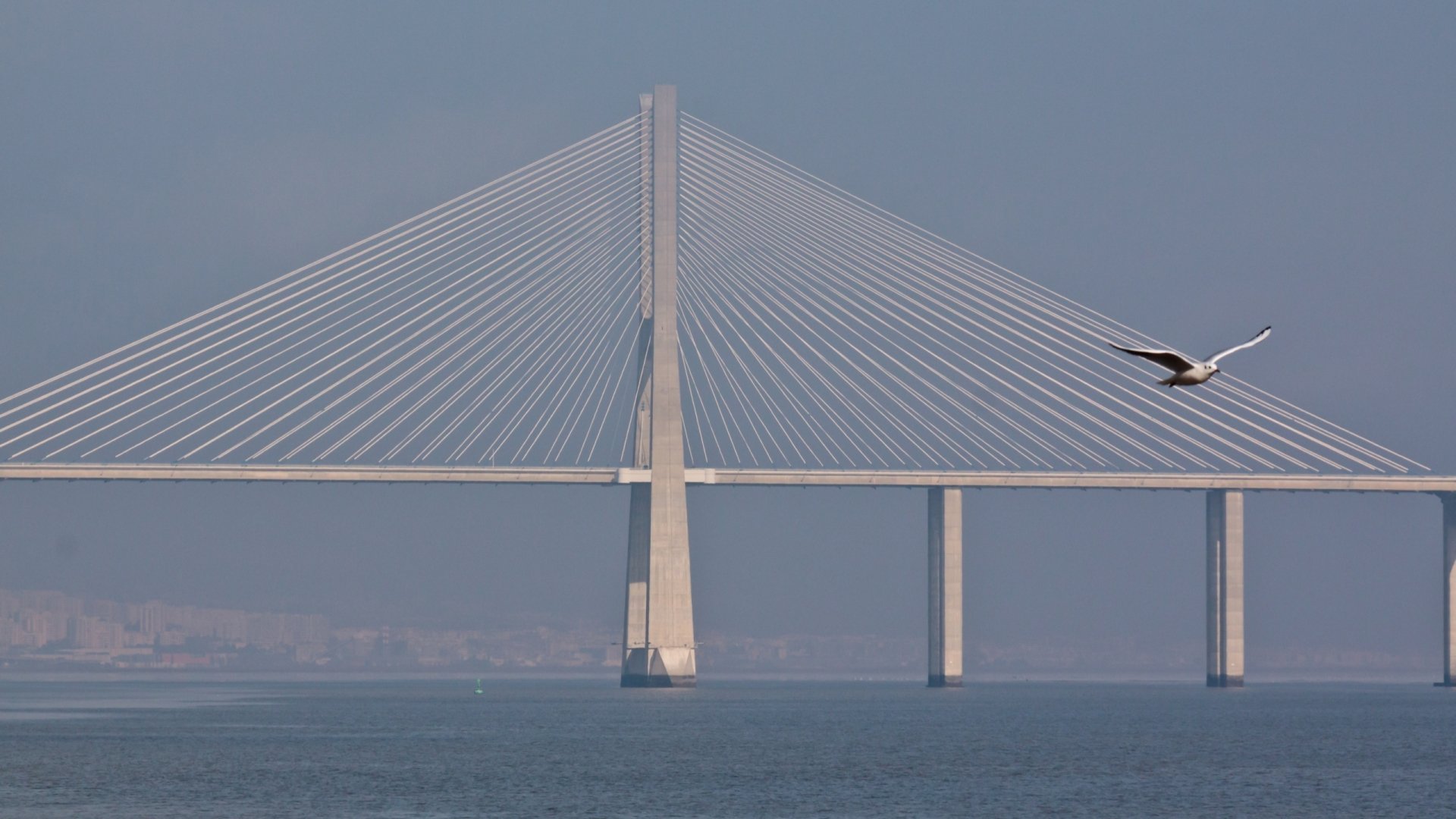 Download Man Made Vasco Da Gama Bridge HD Wallpaper