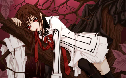 Yuki Kuran tree Anime Vampire Knight HD Desktop Wallpaper | Background Image