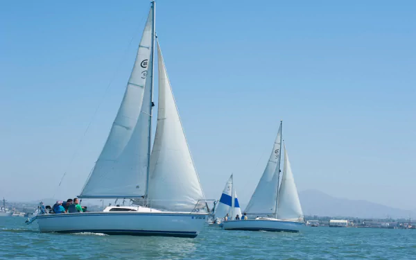 Two sailboats with white sails glide across calm blue water under a clear sky, captured in this HD PC desktop wallpaper of yachts and sailing vessels.