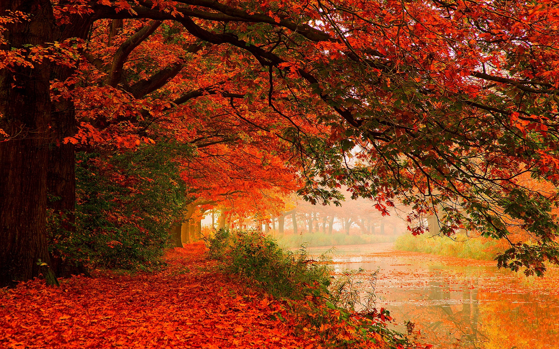 Nature Fall HD Wallpaper