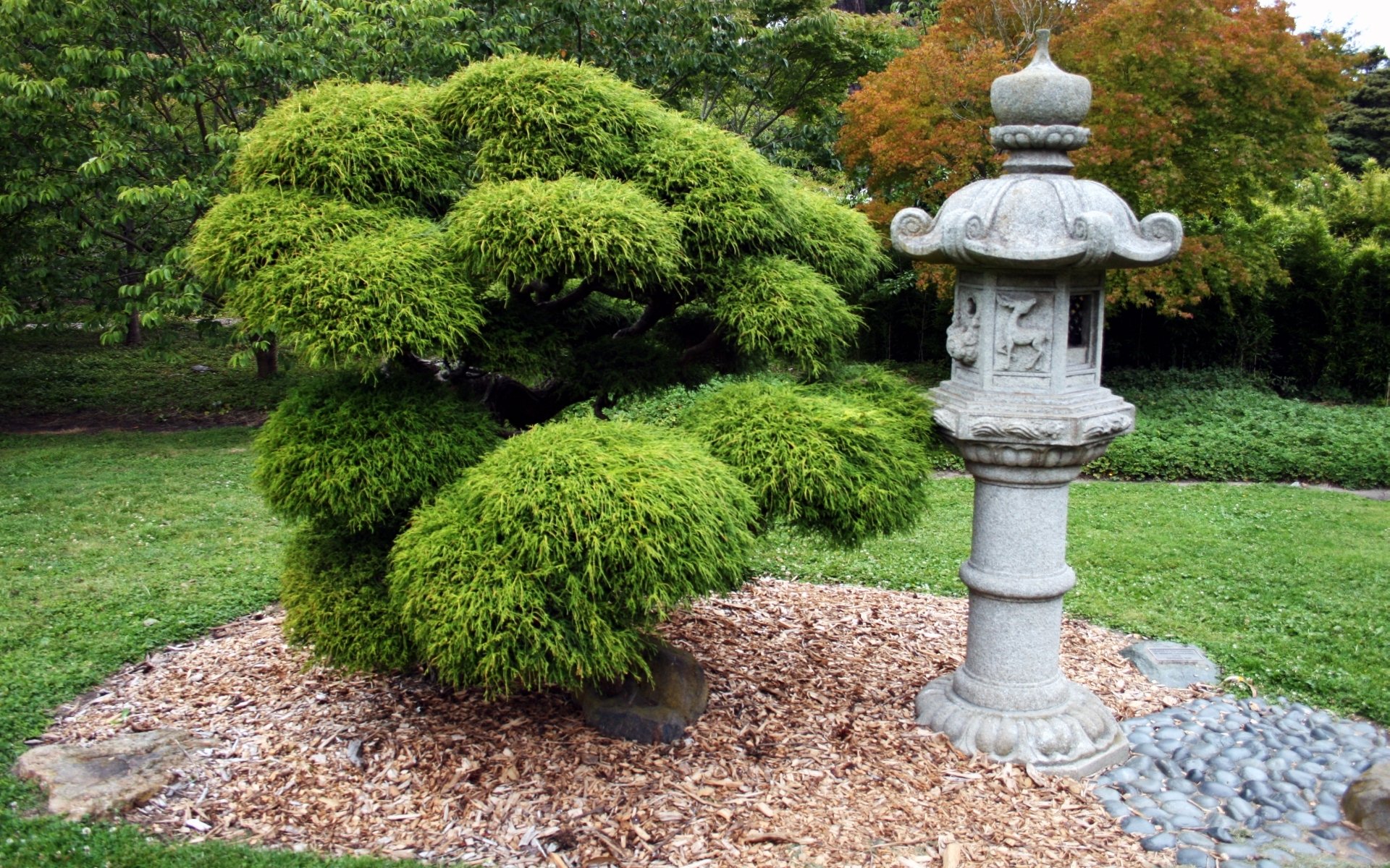 Download Man Made Golden Gate Park HD Wallpaper