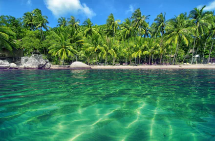 A serene tropical lagoon with crystal-clear water, surrounded by lush palm trees, captures the beauty of nature in this vibrant HD desktop wallpaper.