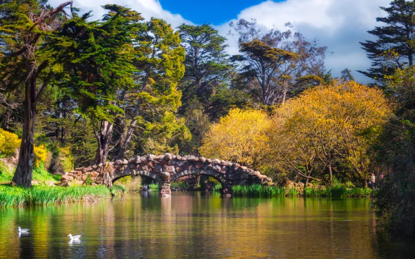 man made Golden Gate Park HD Desktop Wallpaper | Background Image