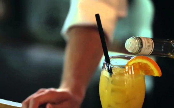 food harvey wallbanger HD Desktop Wallpaper | Background Image