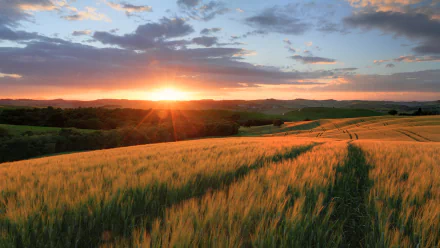 nature sunrise HD Desktop Wallpaper | Background Image