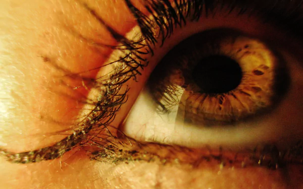 woman eye HD Desktop Wallpaper | Background Image
