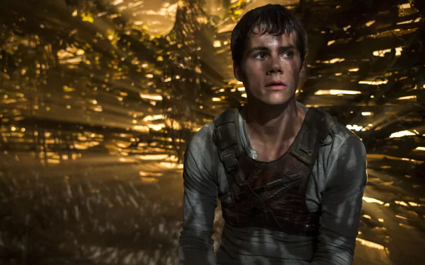 movie The Maze Runner HD Desktop Wallpaper | Background Image