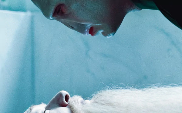 Albus Dumbledore and Lord Voldemort face off in a dramatic scene from *Harry Potter and the Deathly Hallows: Part 1*, captured in this HD desktop wallpaper.