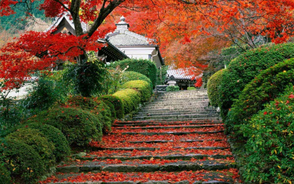 HD wallpaper featuring a serene stone staircase amid vibrant red autumn leaves and lush greenery, leading to a traditional building.