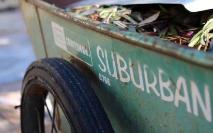  Old Wheelbarrow