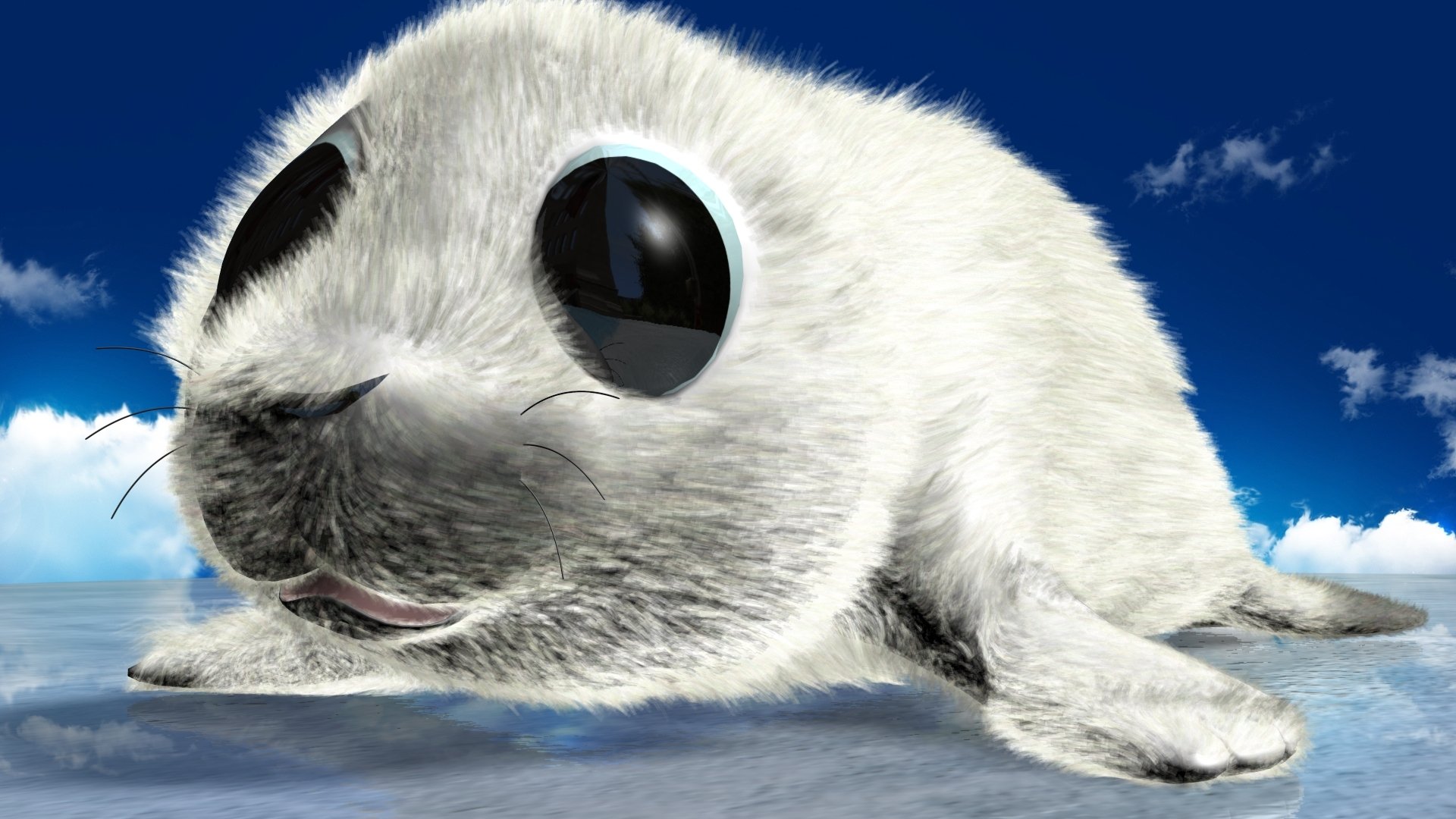 Cartoon Baby Seal Hd Wallpaper Background Image 1920x1080 Id 559963 Wallpaper Abyss