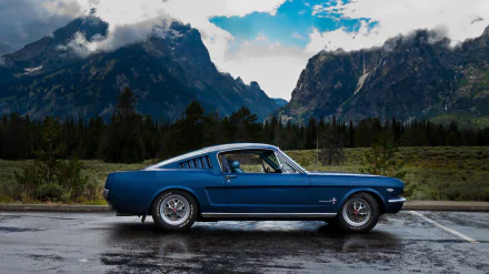 muscle car fastback Ford Mustang vehicle Ford Mustang Fastback HD Desktop Wallpaper | Background Image