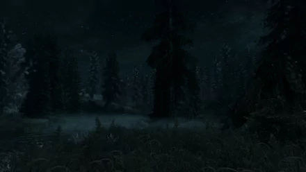 The Elder Scrolls V: Skyrim HD PC desktop wallpaper: moonlit, foggy forest landscape at night with pine silhouettes, distant mountains and a starry sky.