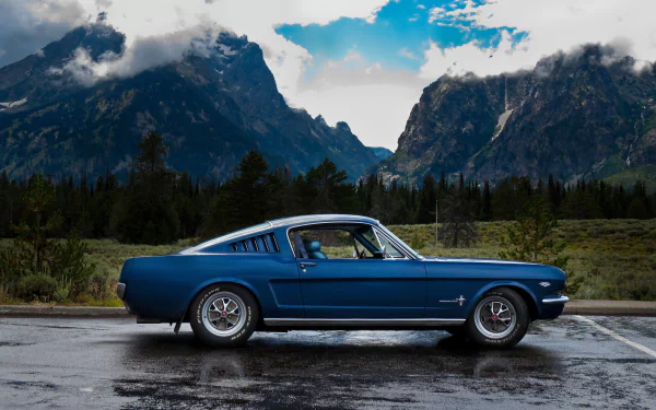 muscle car fastback Ford Mustang vehicle Ford Mustang Fastback HD Desktop Wallpaper | Background Image