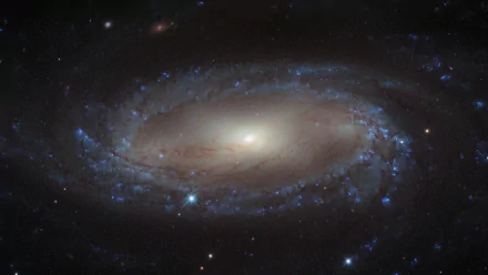  A Spiral Barred Galaxy