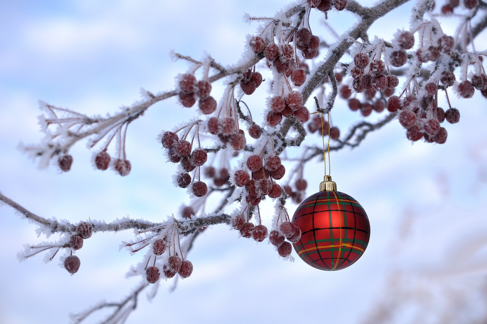 Frozen red berries and a plaid Christmas ornament hang from a frosty branch against a soft winter sky, creating a festive holiday HD desktop wallpaper.