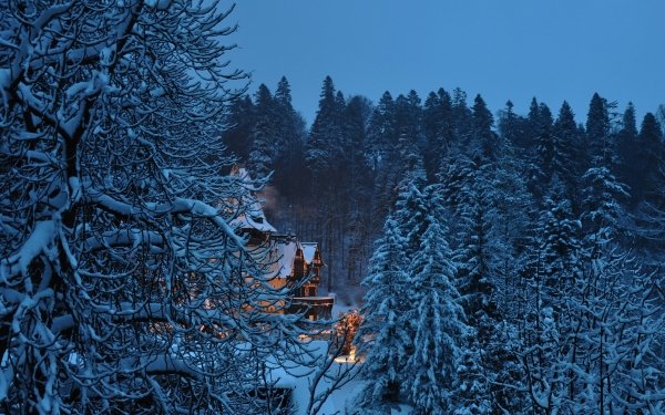 Man Made Peles Castle Castles Romania Winter HD Wallpaper | Background Image