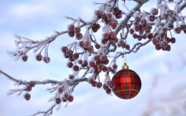 frozen christmas ornaments holiday Christmas HD Desktop Wallpaper | Background Image