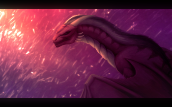 4000 龙高清壁纸 桌面背景