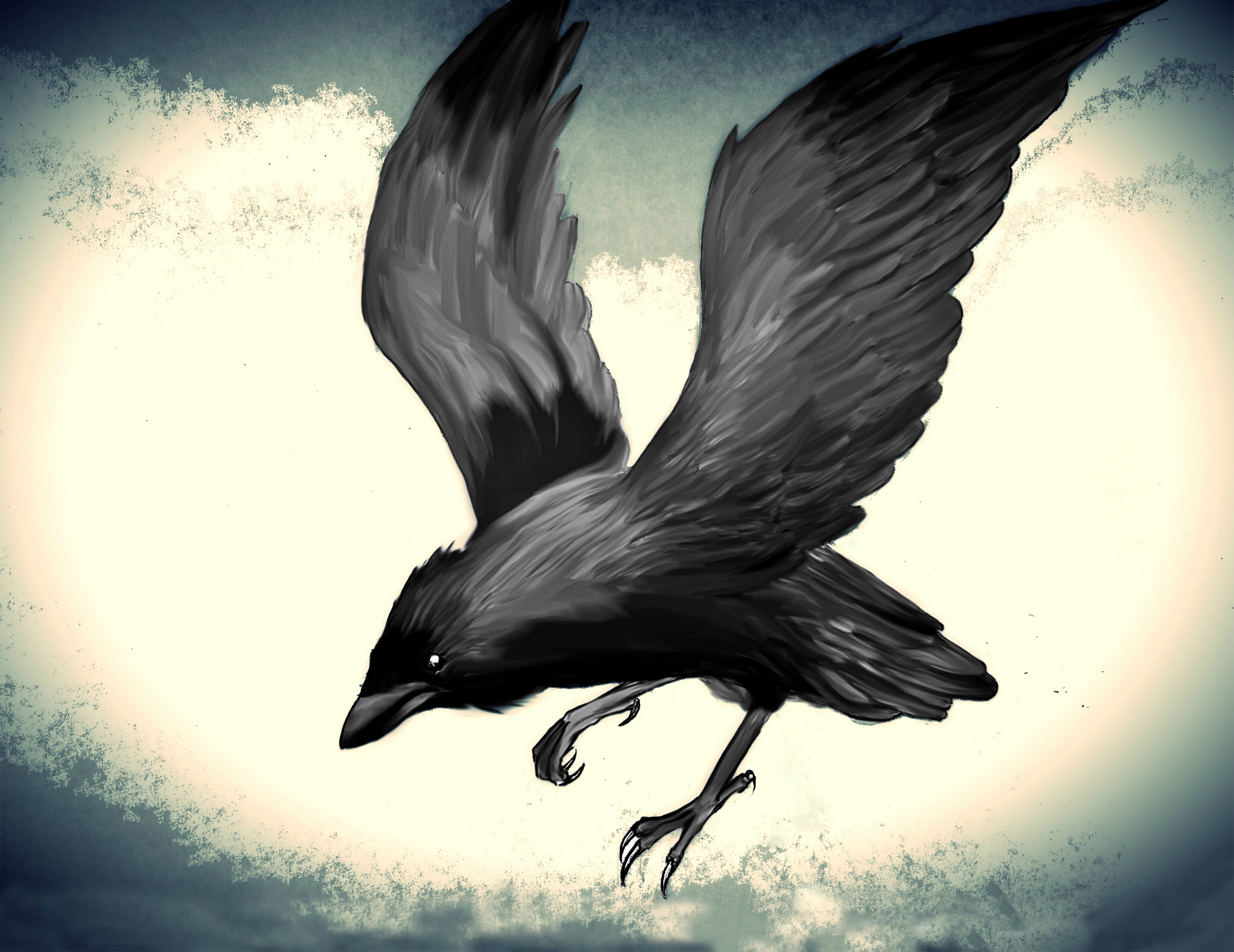 Raven png images  PNGWing