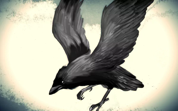 Animal raven HD Desktop Wallpaper | Background Image