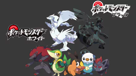 HD PC desktop wallpaper for the Pokémon: Black & White video game — Reshiram and Zekrom above Snivy, Tepig, Oshawott and dark foxes on a dark gray background.