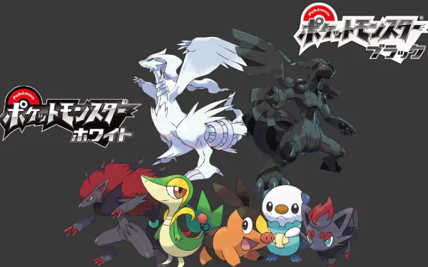video game Pokemon: Black and White HD Desktop Wallpaper | Background Image