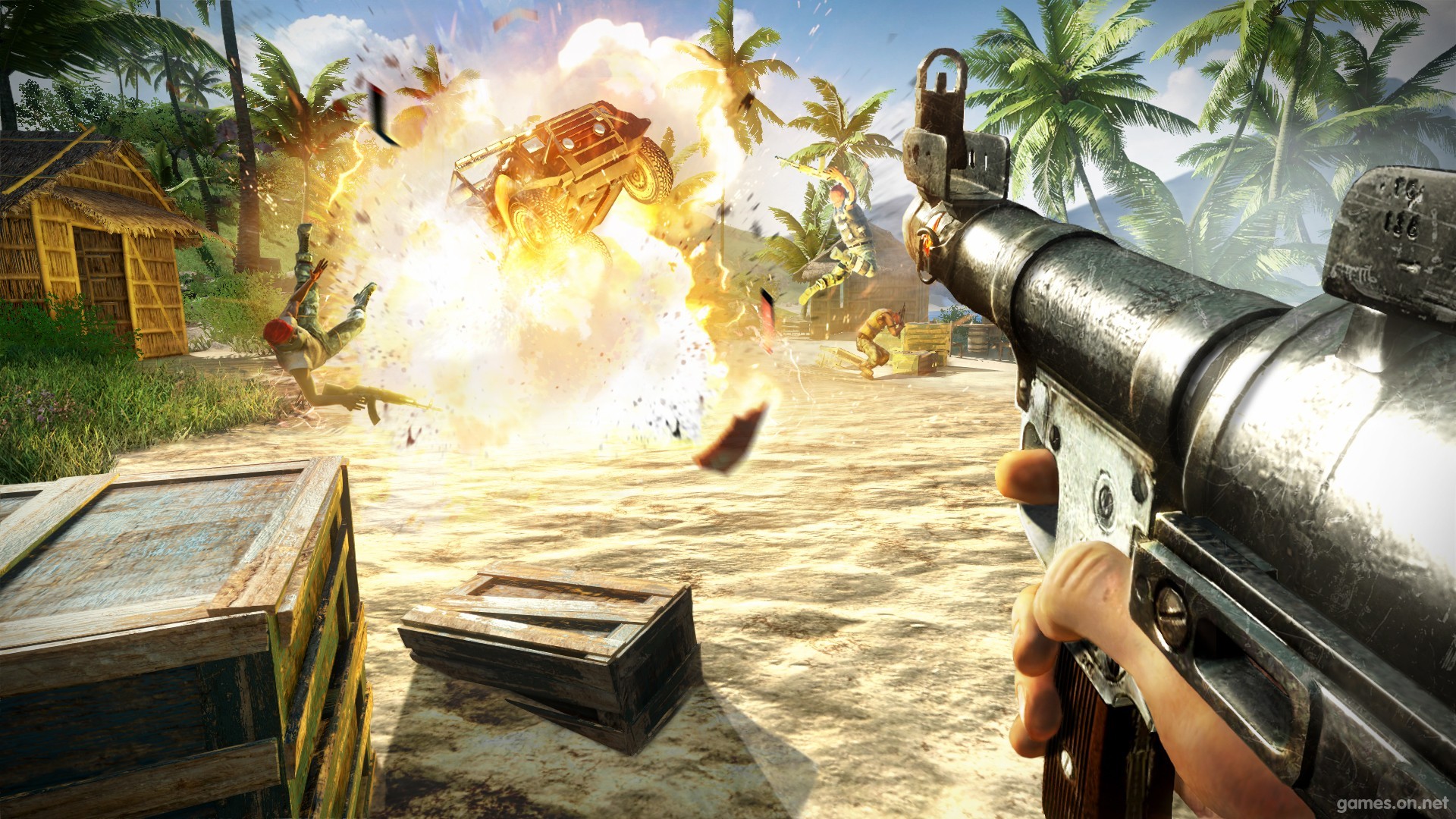 Download Video Game Far Cry 3 HD Wallpaper