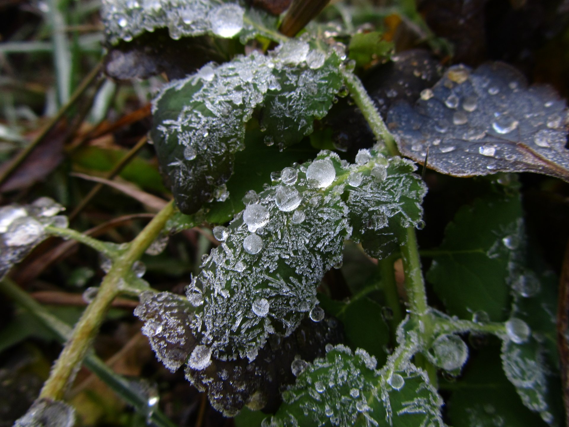 Download Nature Ice 4k Ultra HD Wallpaper by Vergilius